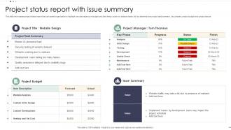 Project Status Report With Issue Summary