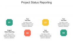 Project status reporting ppt powerpoint presentation portfolio elements cpb