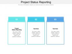 Project status reporting ppt powerpoint presentation shapes cpb