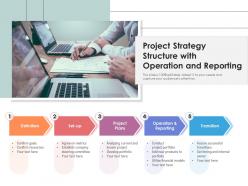 Project Strategy Structure With Operation And Reporting
