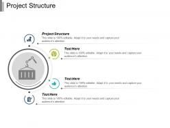 Project structure ppt powerpoint presentation infographic template microsoft cpb