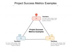 Project success metrics examples ppt powerpoint presentation inspiration cpb