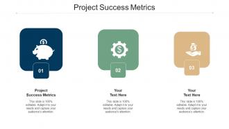 Project success metrics ppt powerpoint presentation model structure cpb