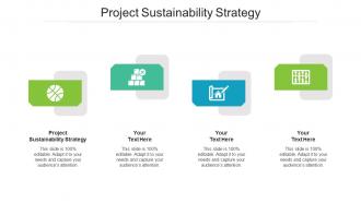Project sustainability strategy ppt powerpoint presentation slides files cpb