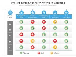 Project team capability matrix in columns