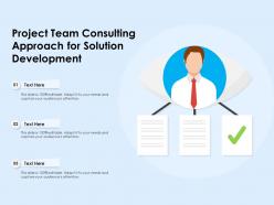 Project team consulting approach for solution development
