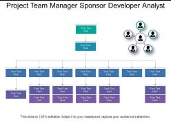 Project team manager sponsor developer analyst