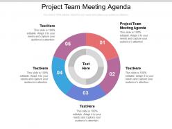 Project team meeting agenda ppt powerpoint presentation infographics professional cpb