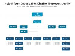 Project team organization chart for employers liability infographic template