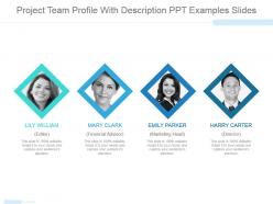 Project team profile with description ppt examples slides
