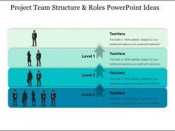 Project team structure and roles powerpoint ideas