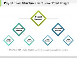 Project team structure chart powerpoint images