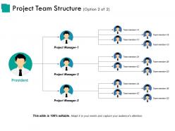 Project team structure example of great ppt