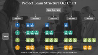 Project team structure org chart