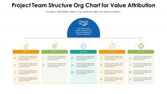 Project team structure org chart for value attribution infographic template