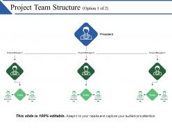 Project team structure powerpoint presentation examples