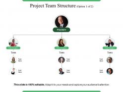 Project team structure powerpoint slide designs download