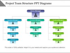 Project team structure ppt diagrams