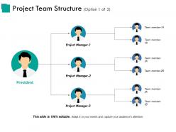 Project team structure ppt examples slides