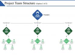 Project team structure ppt ideas
