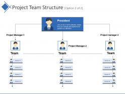 Project team structure ppt model