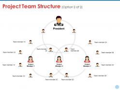 Project team structure ppt styles structure