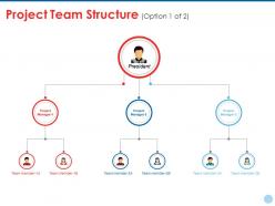 Project team structure ppt styles vector