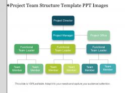 Project team structure template ppt images
