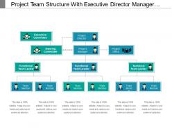 Project team structure with executive director manager officer leaders and members