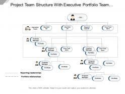 Project team structure with executive portfolio team and program manager
