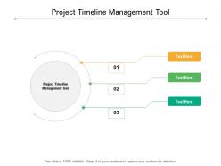 Project timeline management tool ppt powerpoint presentation professional outline cpb