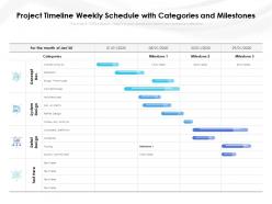 Project timeline weekly schedule with categories and milestones