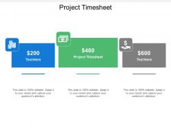 Project timesheet ppt powerpoint presentation icon microsoft cpb