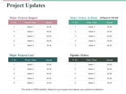 Project updates ppt professional structure