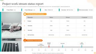 Project Work Stream Status Report
