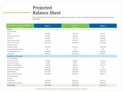Projected balance sheet borrowing ppt powerpoint presentation outline format