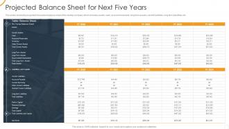 Projected balance sheet for next five years ultimate organizational strategy for incredible
