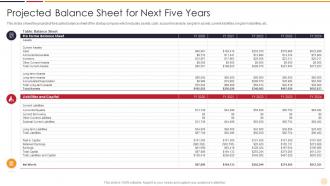 Projected Balance Sheet For Next Strategies Startups Need Support Growth Business