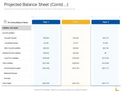 Projected Balance Sheet Payable Ppt Powerpoint Presentation Infographics Guidelines