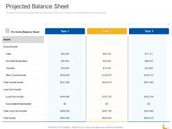 Projected Balance Sheet Ppt Powerpoint Presentation File Gallery