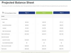 Projected balance sheet ppt powerpoint presentation gallery graphics example