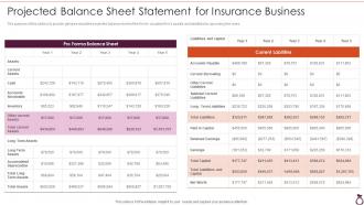 Projected Balance Sheet Statement For Insurance Business Financial Services Consultancy