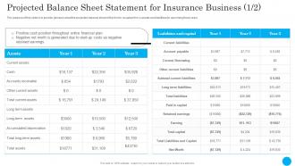 Projected Balance Sheet Statement Insurance Agency Financial Plan