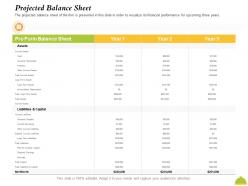 Projected Balance Sheet Subtotal Ppt Powerpoint Presentation Outline Background