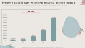 Projected Balance Sheet To Analyze Financial Position Ideal Image Medspa Business BP SS Image Editable