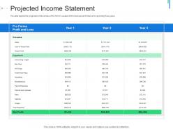 Projected income statement initial public offering ipo as exit option ppt styles design
