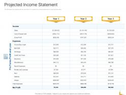 Projected Income Statement Ppt Powerpoint Presentation Infographics Examples