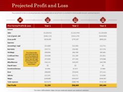Projected Profit And Loss Sales M1200 Ppt Powerpoint Presentation Slides Visual Aids