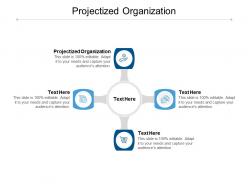 Projectized organization ppt powerpoint presentation styles slideshow cpb