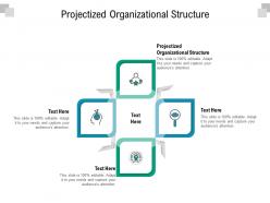 Projectized organizational structure ppt powerpoint presentation outline tips cpb